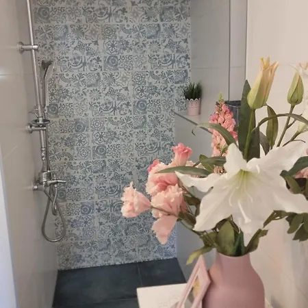 Virag Wellness Pécs