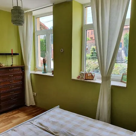 Virág Wellness
