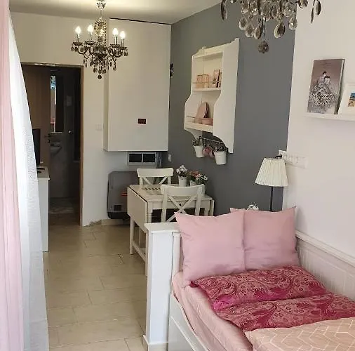 홈스테이 Virag Wellness 페치