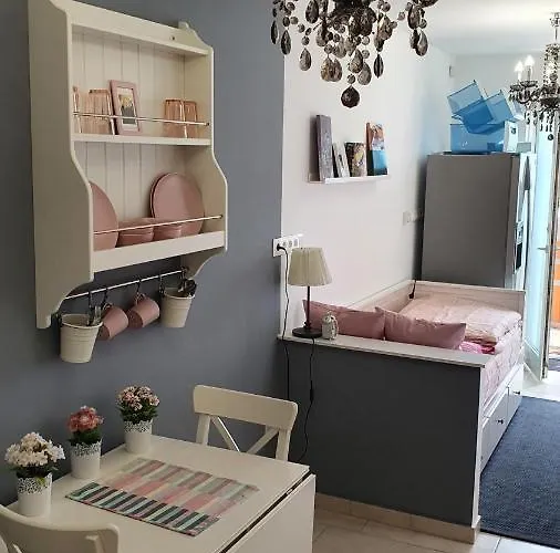 홈스테이 Virag Wellness *