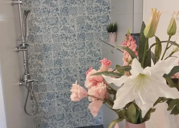 Virag Wellness 페치