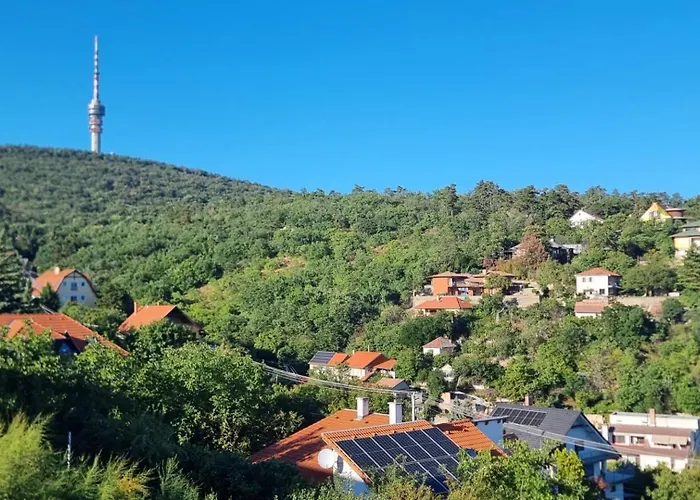 Virag Wellness 홈스테이 *