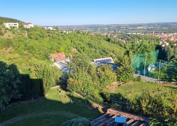 Virag Wellness 홈스테이 페치